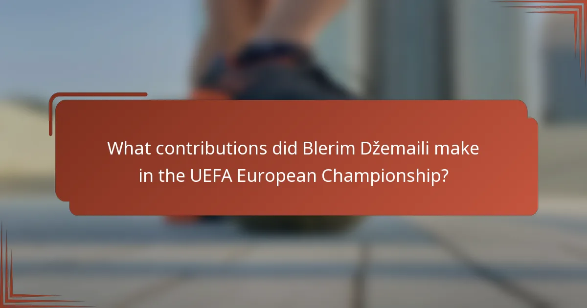 What contributions did Blerim Džemaili make in the UEFA European Championship?
